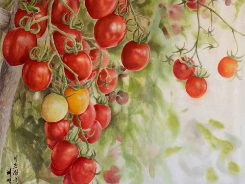 2 成熟的西红柿