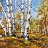 深秋白桦
