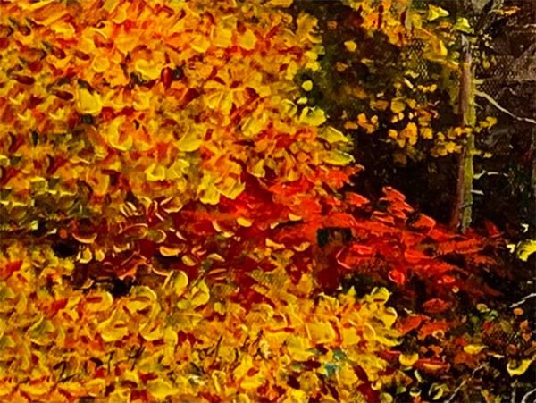 微信图片_20230713154533 枫林中的小河