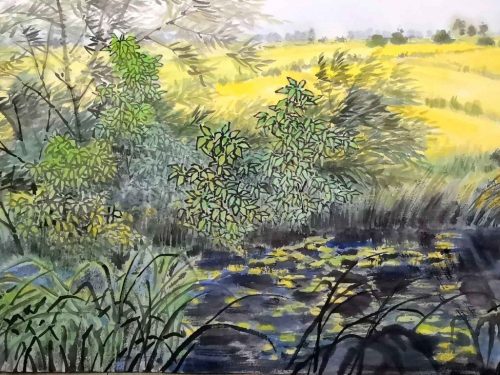 1-102-1024x731-1.jpg 金色的田野3