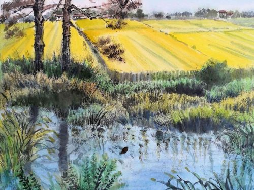 1-103-1024x897-1.jpg 金色的田野4