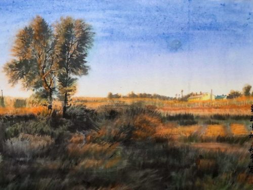 1-107-1024x734-1.jpg 金色的田野10