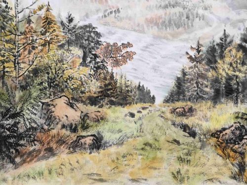 1-121-1024x603-1.jpg 小兴安岭之秋