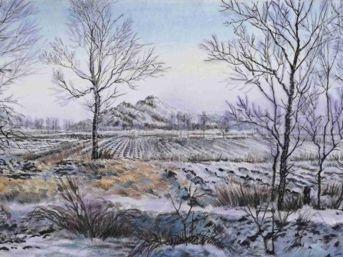 1-123-1024x557-1.jpg 紫气东来