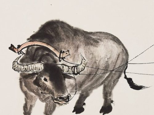 1-147-786x1024-1.jpg 一份耕耘一份收获