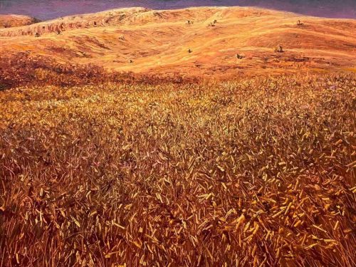 1-191-1024x847-1.jpg 秋天