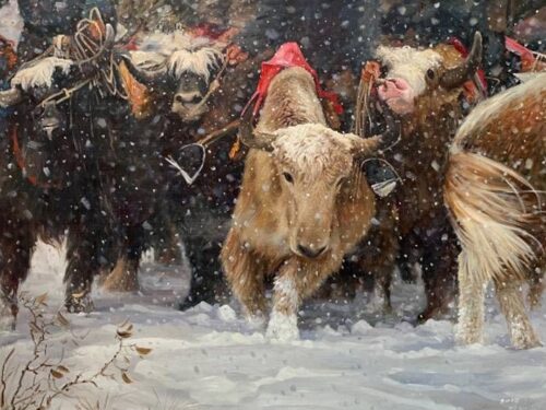 126.jpg 雪地牦牛