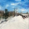雪韵晴