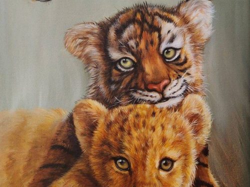 20230131154324-751x1024-1.jpg 伙伴