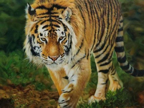 20230131155025-1009x1024-1.jpg 王者