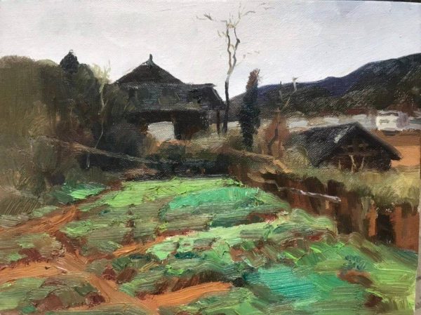 故乡.菜园小景