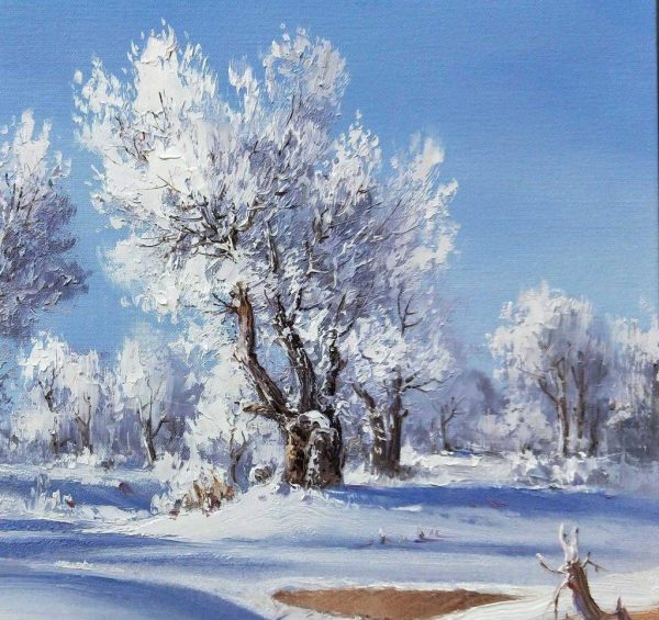 冰雪胡杨梦幻世界