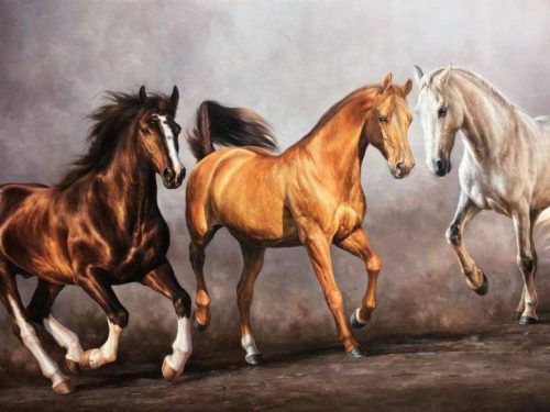 20230206155059-1024x585-1.jpg 马