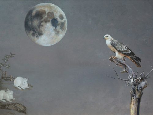 25-1024x684-1.jpg 鹰月道