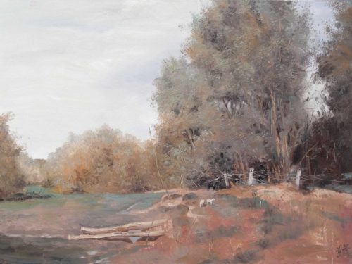 40-1024x724-1.jpg 额尔齐斯河畔4