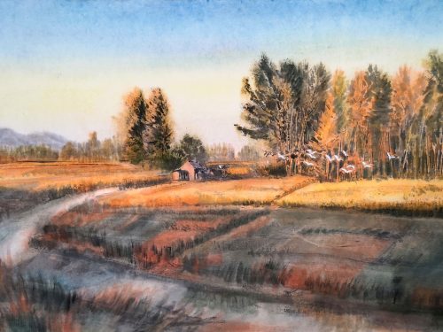 IMG_6772 金色的田野11